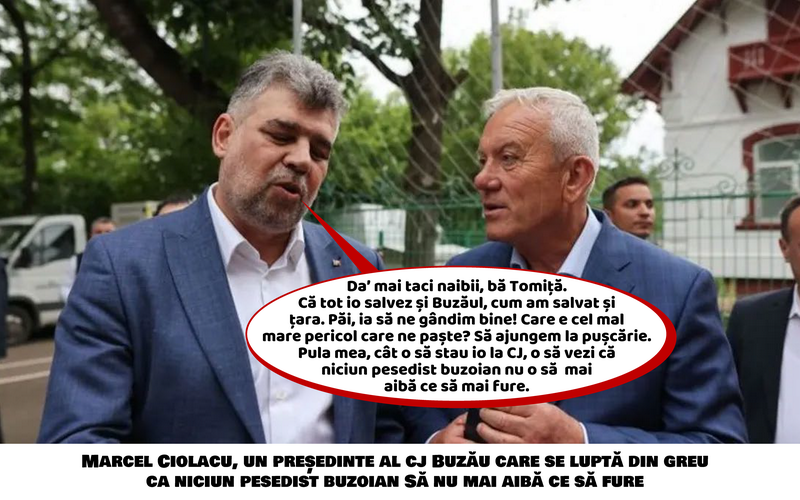 BIȘNIȚARI DE SIMILEASCA