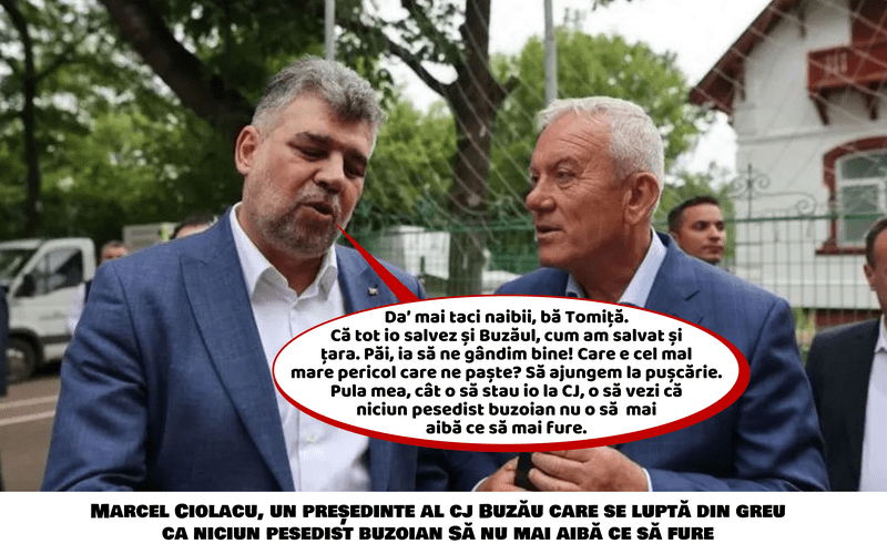 BIȘNIȚARI DE SIMILEASCA
